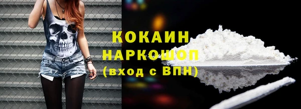 прущий лед Богданович
