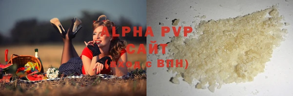 прущий лед Богданович