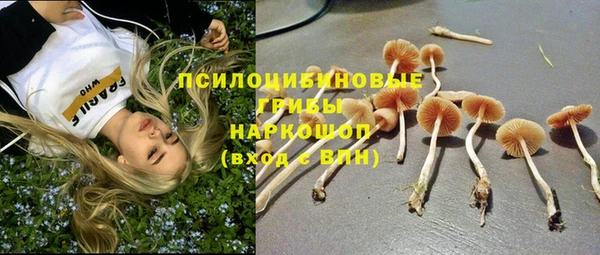 прущий лед Богданович