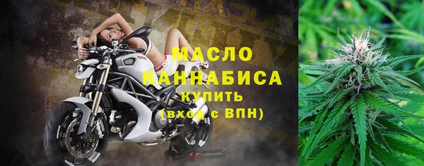 прущий лед Богданович